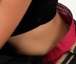 Hot nip Hamsitha sexy blouse in Black Saree Exclusive Photo Shoot