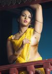 Hot yellow saree Anushka Shetty nude nipple without blouse